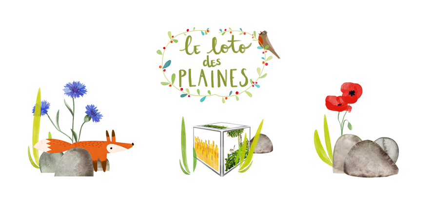 Loto des plaines Loto des plaines