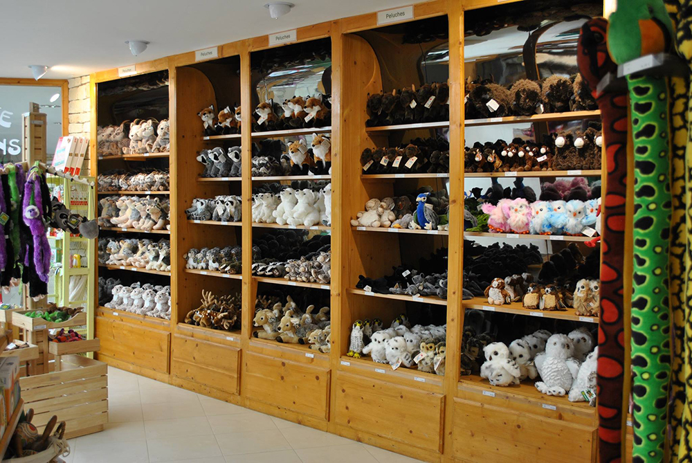 11722396_1002794036427264_3697891968655612047_o boutique zoodyssée