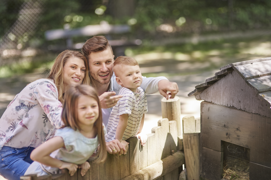 avis_zoodyssee_famille famille