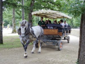 balade en calèche à Zoodyssée