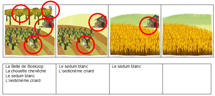 résultat borne 2 loto des plaines