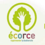 ecorce ecorce