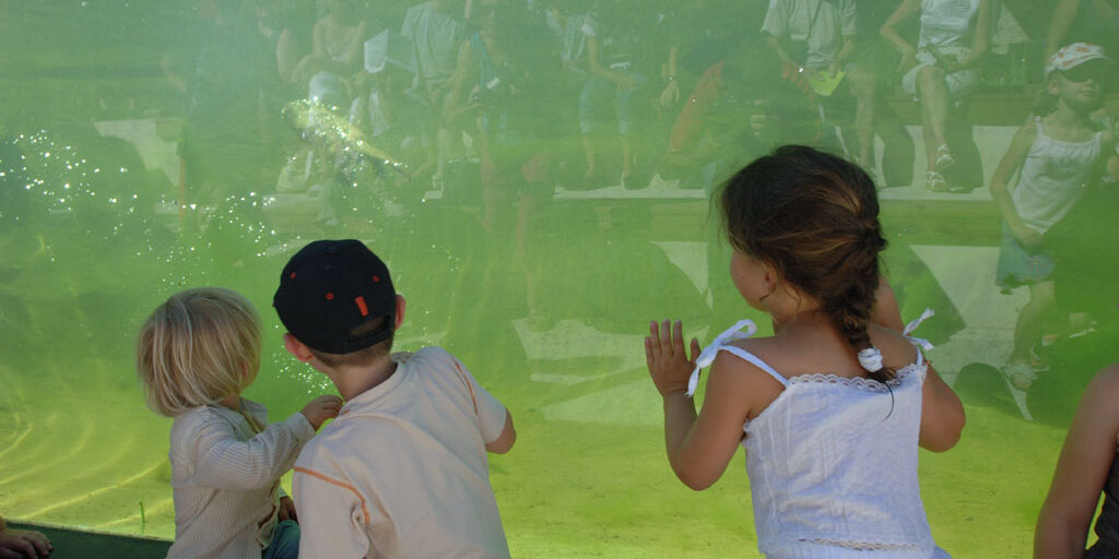 enfants qui regardent le spectacle des loutres à Zoodyssée